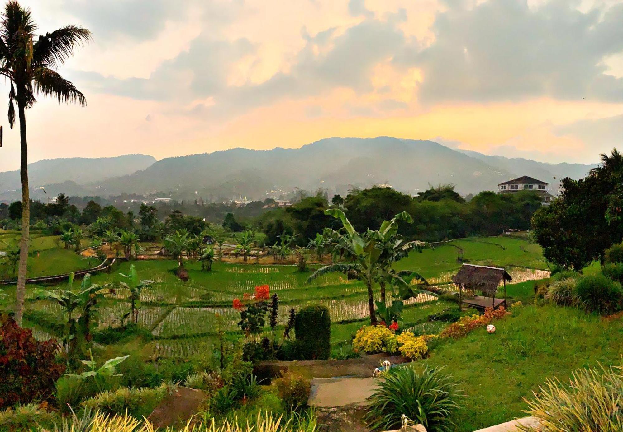 Villa Rumah Selasar Sawah *